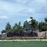 Community photo