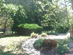 Community photo