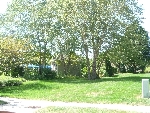 Community photo