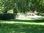 Community photo
