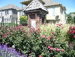 Community photo