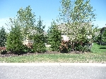 Community photo