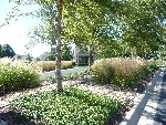 Community photo