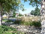 Community photo