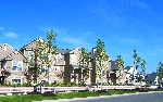Community photo