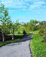 Community photo