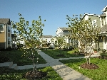 Community photo