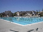 Community photo