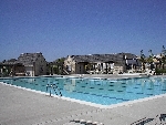 Community photo