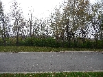 Community photo