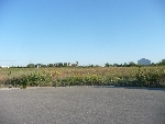 Community photo