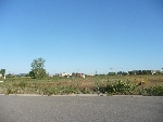 Community photo
