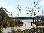 Community photo