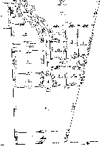 Plat map